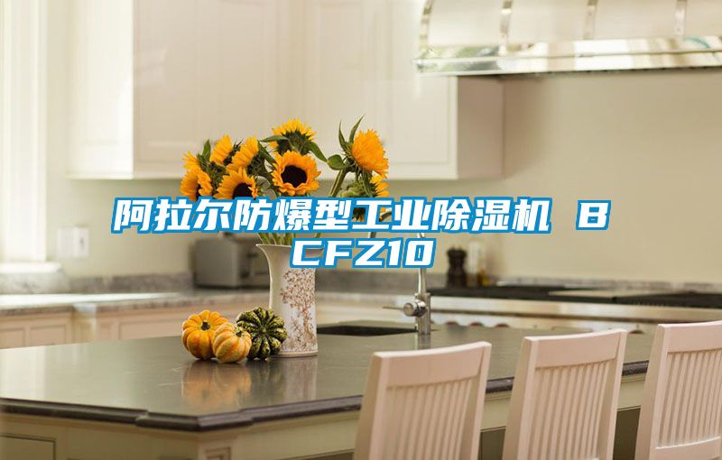 阿拉爾防爆型工業(yè)除濕機 BCFZ10