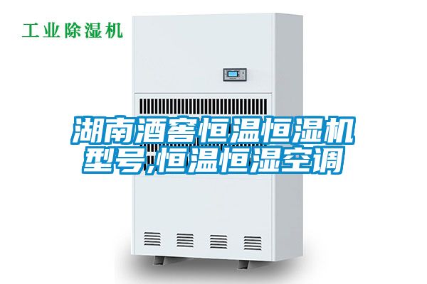 湖南酒窖恒溫恒濕機(jī)型號(hào),恒溫恒濕空調(diào)