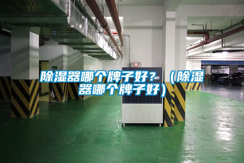 除濕器哪個(gè)牌子好？（除濕器哪個(gè)牌子好）