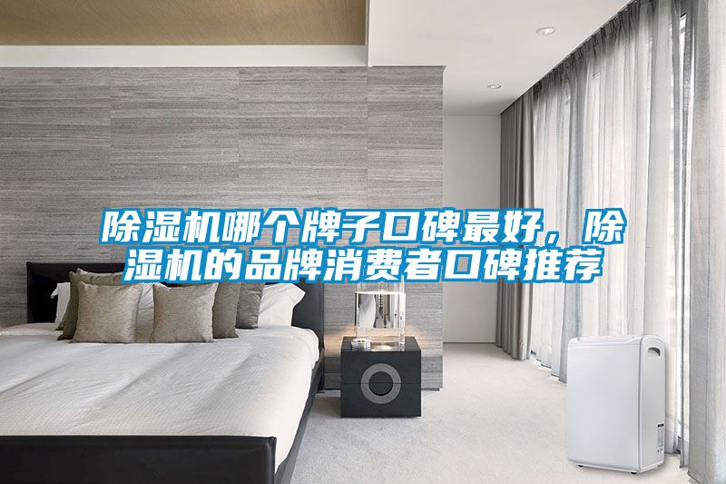 除濕機哪個牌子口碑最好,除濕機的品牌消費者口碑推薦