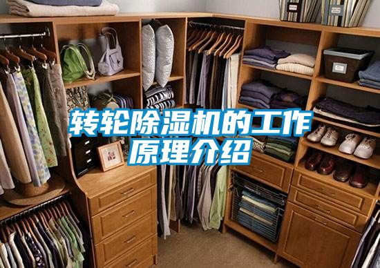 轉(zhuǎn)輪除濕機(jī)的工作原理介紹