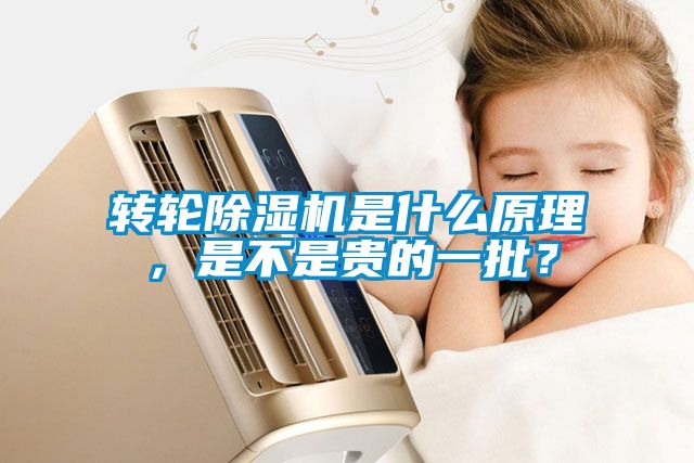 轉輪除濕機是什么原理,是不是貴的一批?