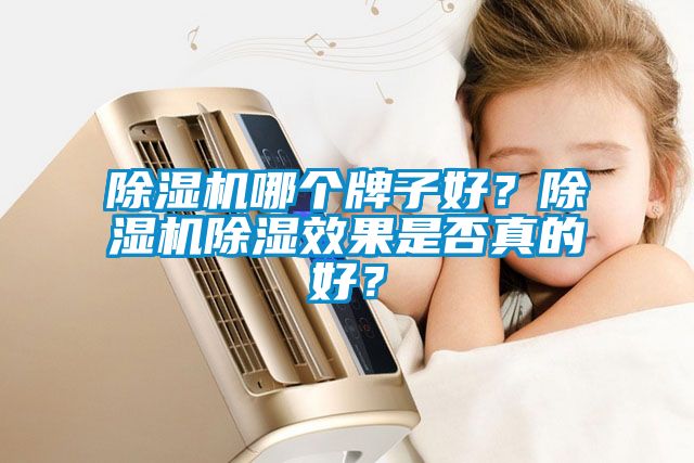 除濕機哪個牌子好?除濕機除濕效果是否真的好?
