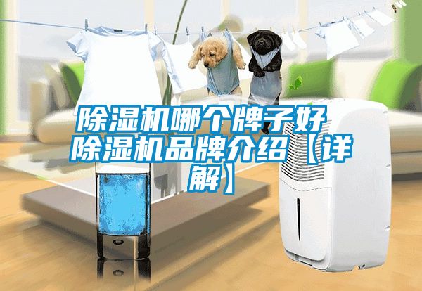 除濕機哪個牌子好 除濕機品牌介紹【詳解】