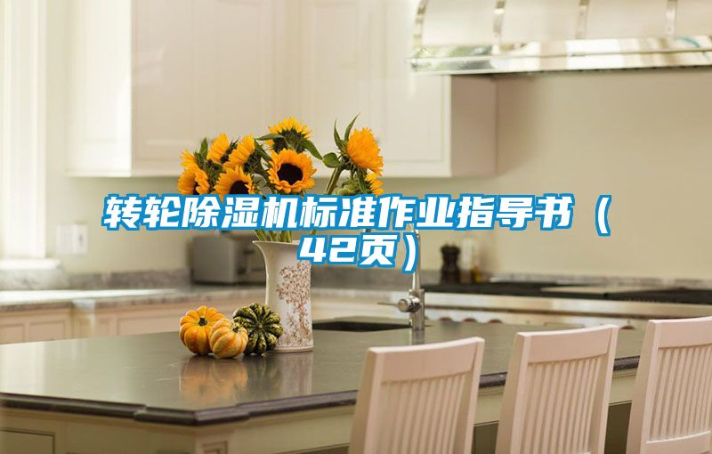轉輪除濕機標準作業指導書(42頁)