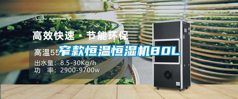 窄款恒溫恒濕機80L