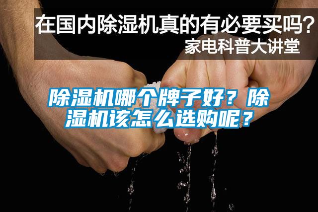 除濕機(jī)哪個(gè)牌子好?除濕機(jī)該怎么選購呢?