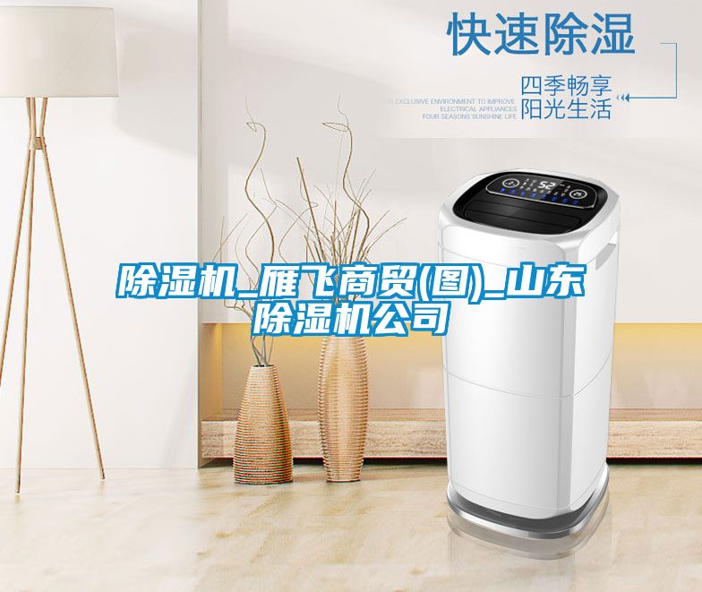 除濕機_雁飛商貿(圖)_山東除濕機公司