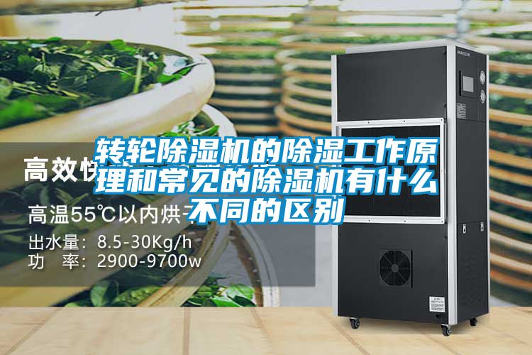 轉(zhuǎn)輪除濕機(jī)的除濕工作原理和常見(jiàn)的除濕機(jī)有什么不同的區(qū)別