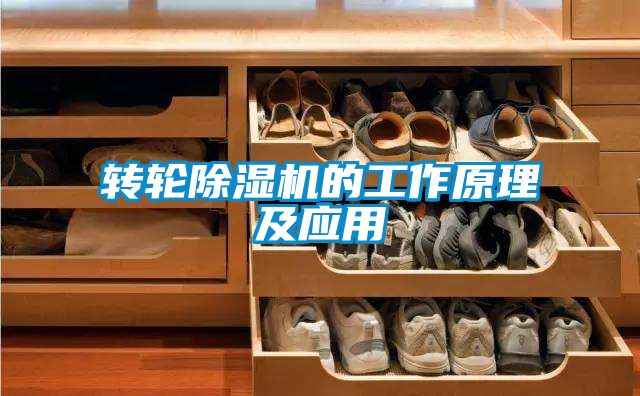 轉輪除濕機的工作原理及應用