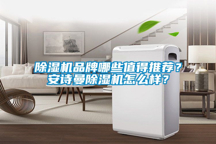 除濕機品牌哪些值得推薦？安詩曼除濕機怎么樣？