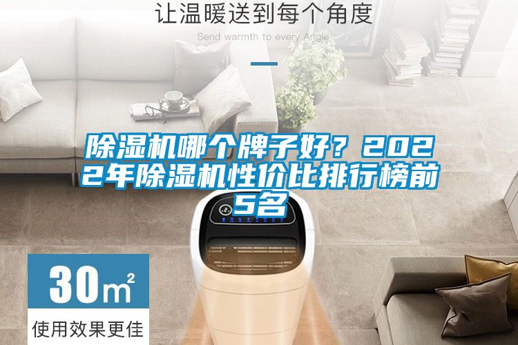 除濕機哪個牌子好?2022年除濕機性價比排行榜前5名