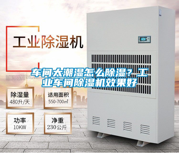 車間太潮濕怎么除濕?工業(yè)車間除濕機(jī)效果好
