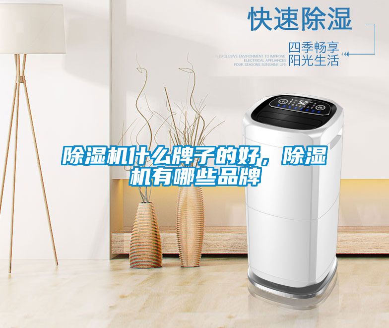 除濕機(jī)什么牌子的好,除濕機(jī)有哪些品牌