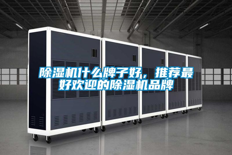 除濕機(jī)什么牌子好,推薦最好歡迎的除濕機(jī)品牌