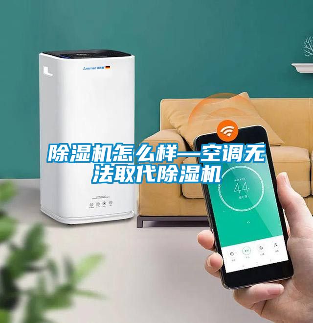 除濕機(jī)怎么樣—空調(diào)無法取代除濕機(jī)