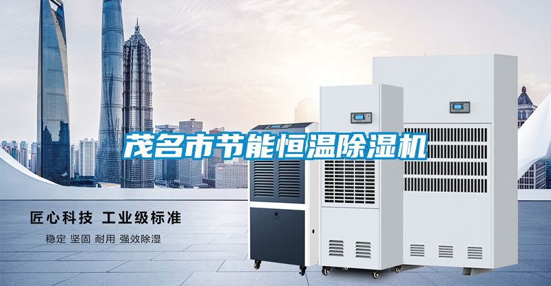 茂名市節能恒溫除濕機