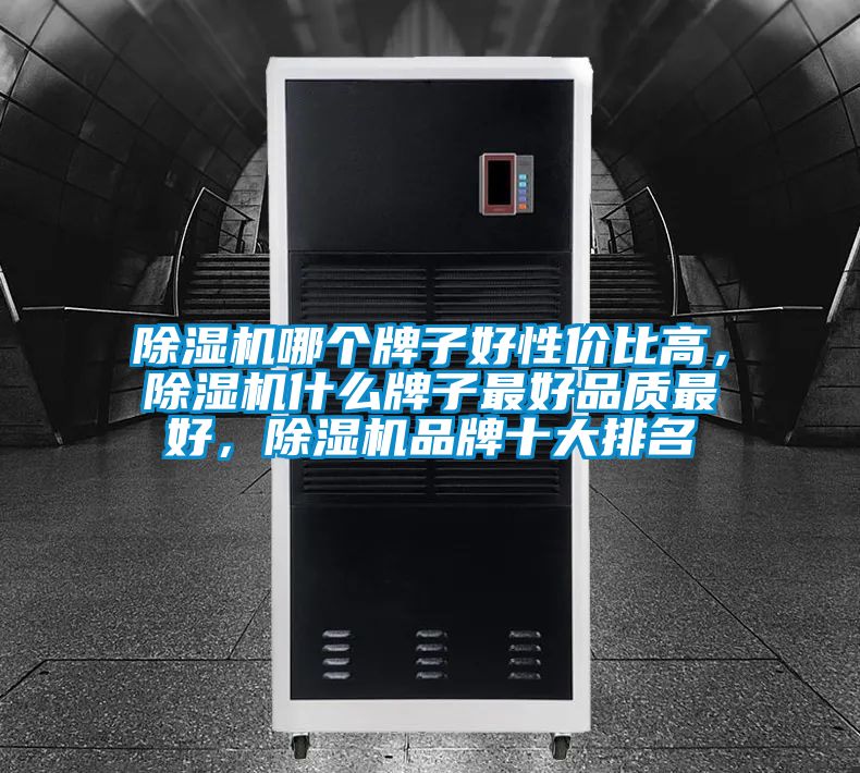 除濕機哪個牌子好性價比高，除濕機什么牌子最好品質最好，除濕機品牌十大排名