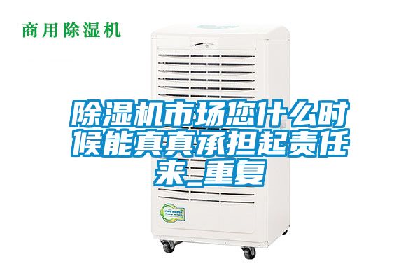 除濕機市場您什么時候能真真承擔起責任來_重復