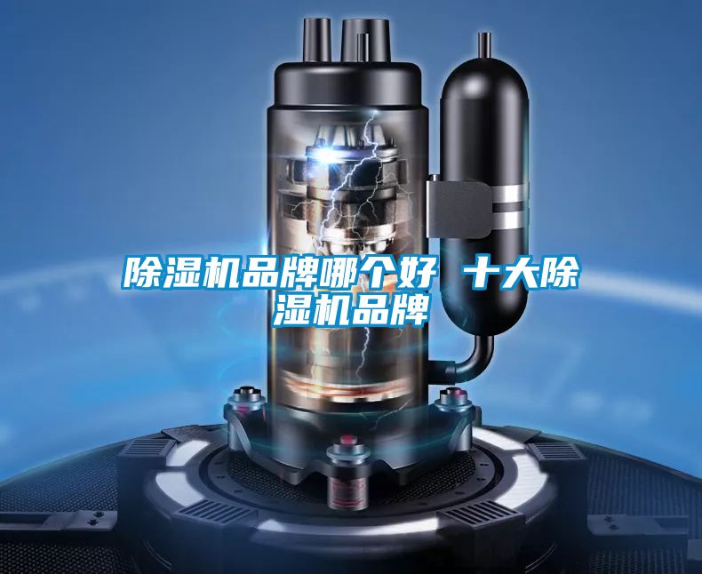 除濕機品牌哪個好 十大除濕機品牌