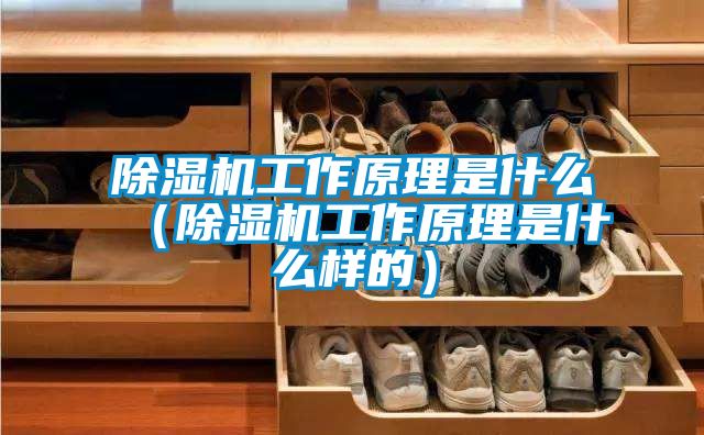 除濕機工作原理是什么(除濕機工作原理是什么樣的)