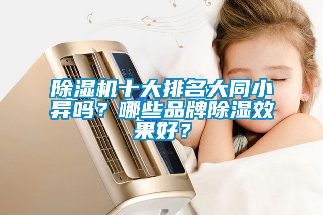 除濕機十大排名大同小異嗎？哪些品牌除濕效果好？