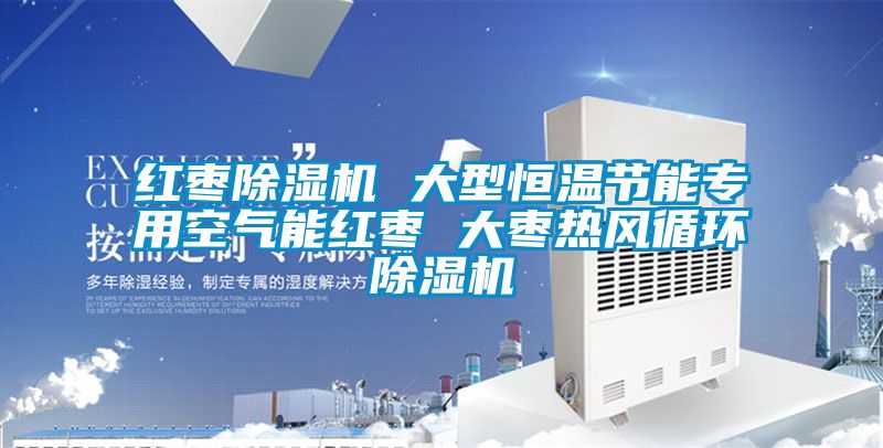 紅棗除濕機(jī) 大型恒溫節(jié)能專用空氣能紅棗 大棗熱風(fēng)循環(huán)除濕機(jī)