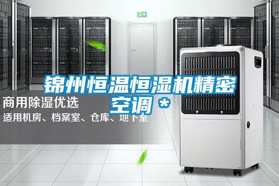 錦州恒溫恒濕機精密空調*