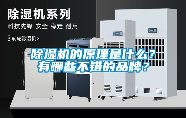 除濕機的原理是什么?有哪些不錯的品牌?
