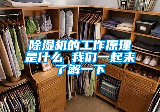 除濕機(jī)的工作原理是什么 我們一起來(lái)了解一下
