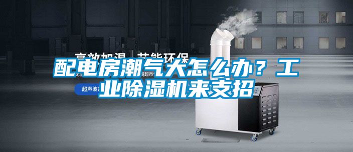 配電房潮氣大怎么辦？工業除濕機來支招