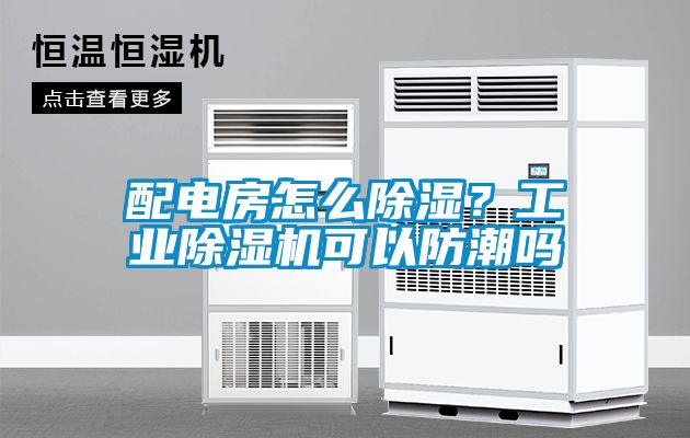 配電房怎么除濕?工業除濕機可以防潮嗎