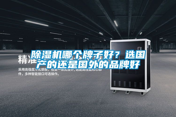 除濕機(jī)哪個(gè)牌子好?選國(guó)產(chǎn)的還是國(guó)外的品牌好