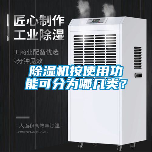 除濕機按使用功能可分為哪幾類？