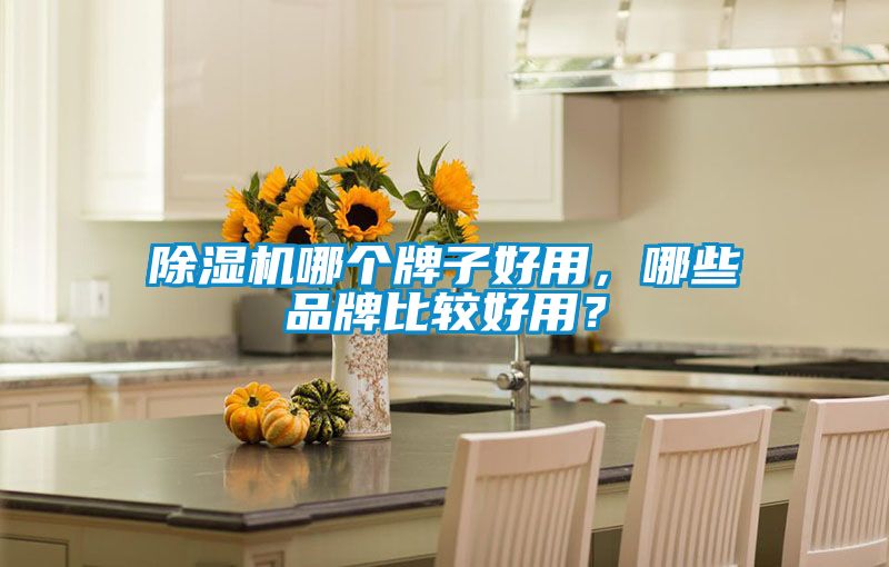 除濕機哪個牌子好用,哪些品牌比較好用?