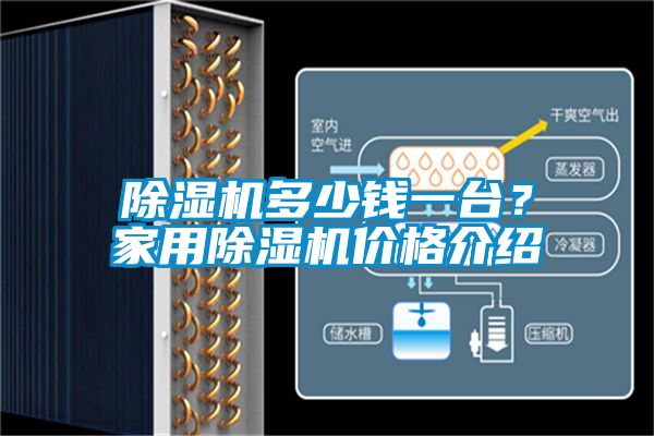 除濕機(jī)多少錢(qián)一臺(tái)?家用除濕機(jī)價(jià)格介紹