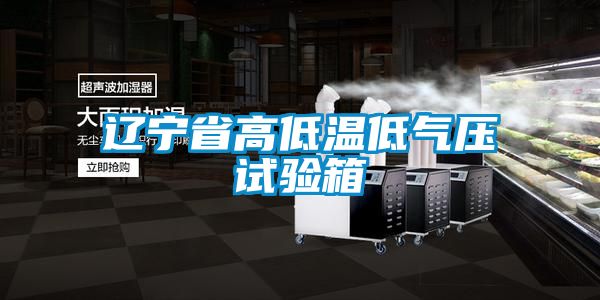 遼寧省高低溫低氣壓試驗箱