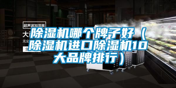 除濕機哪個牌子好(除濕機進口除濕機10大品牌排行)