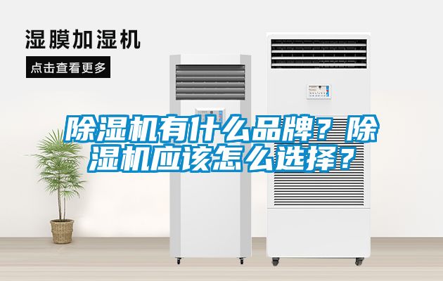除濕機有什么品牌?除濕機應該怎么選擇?