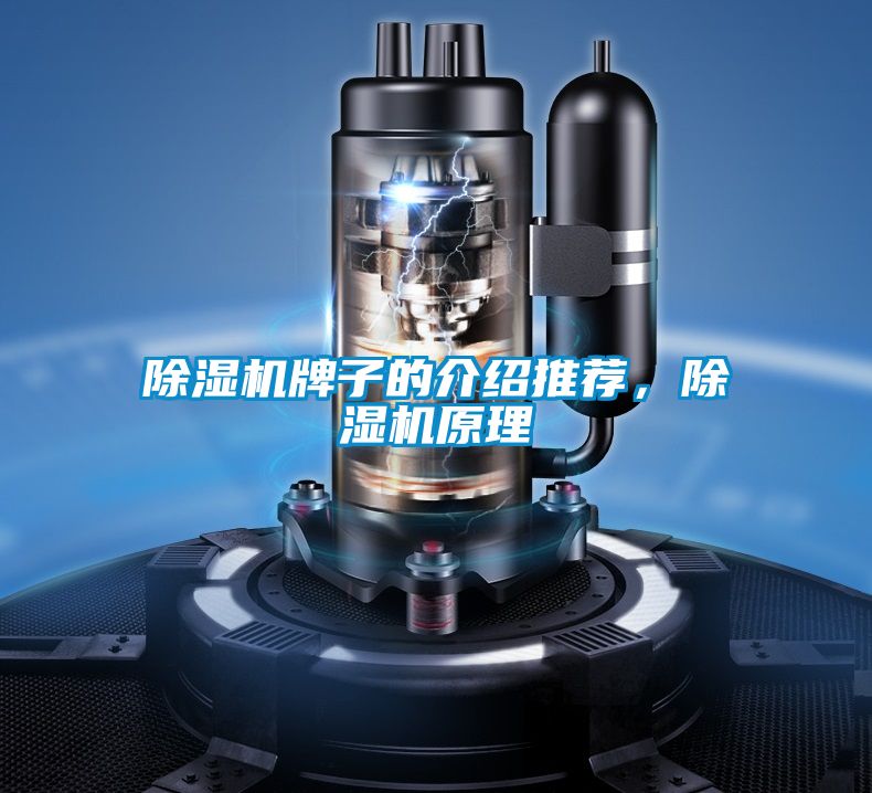 除濕機(jī)牌子的介紹推薦，除濕機(jī)原理