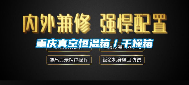 重慶真空恒溫箱/干燥箱