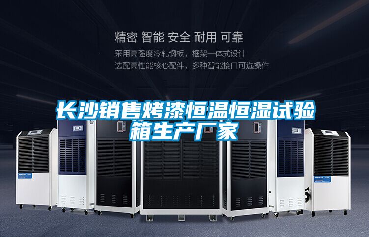 長沙銷售烤漆恒溫恒濕試驗箱生產廠家