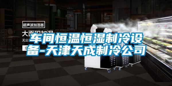 車間恒溫恒濕制冷設(shè)備-天津天成制冷公司