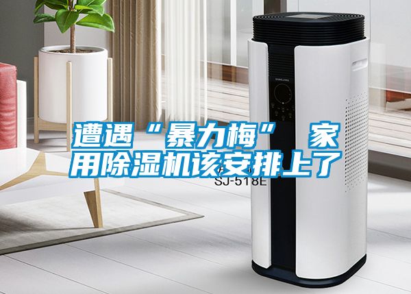 遭遇“暴力梅” 家用除濕機(jī)該安排上了