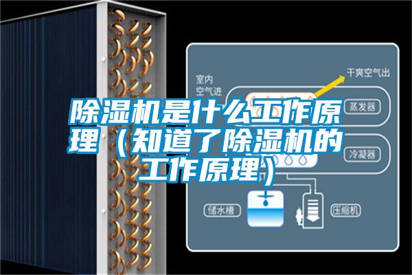除濕機是什么工作原理（知道了除濕機的工作原理）