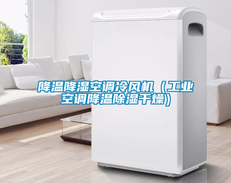 降溫降濕空調冷風機（工業空調降溫除濕干燥）