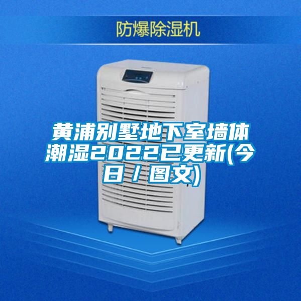 黃浦別墅地下室墻體潮濕2022已更新(今日／圖文)