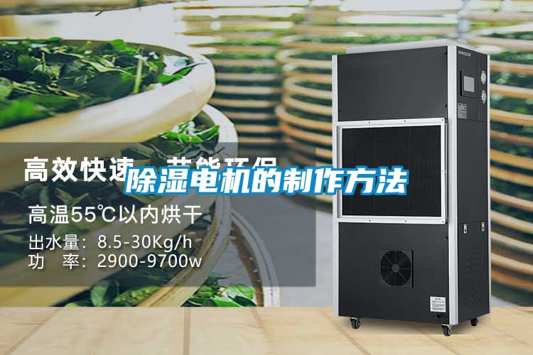 除濕電機(jī)的制作方法