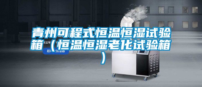 青州可程式恒溫恒濕試驗(yàn)箱（恒溫恒濕老化試驗(yàn)箱）