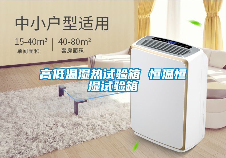 高低溫濕熱試驗箱 恒溫恒濕試驗箱